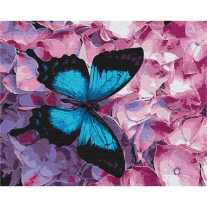 Рисуване по номера Цветна пеперуда, с подрамка, 40х50 см.