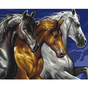 Рисуване по номера Трио коне, с подрамка, 40х50 см.