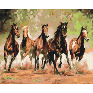 Рисуване по номера Бягащи коне, с подрамка, 40х50 см.