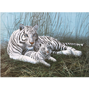 Рисуване по номера Бели тигри, Junior Large, с акрилни бои 39х30 см.