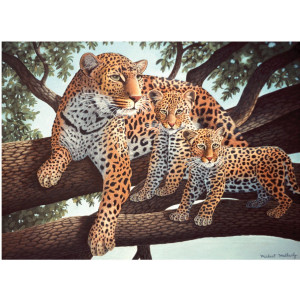 Рисуване по номера Леопарди, Junior Large, с акрилни бои 39х30 см.