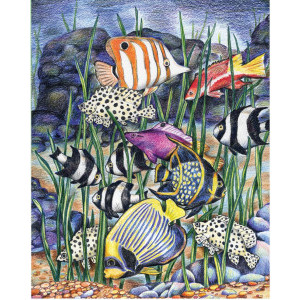 Рисуване по номера Тропически риби, с цветни моливи, 29.9х22.2