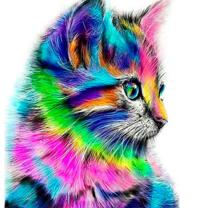 Рисуване по номера Цветно коте, с подрамка, 40х50 см.