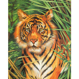 Рисуване по номера Тигър, с акрилни бои