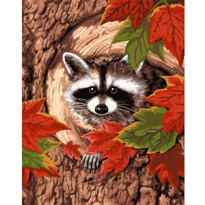 Рисуване по номера Raccoon, с подрамка, 40х50 см.