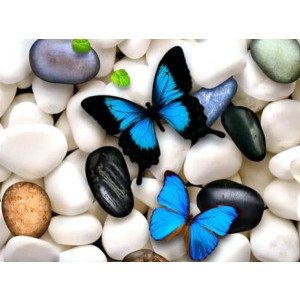 Диамантен гоблен Сини пеперуди, 20x30 см.