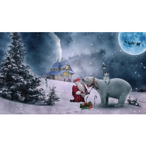 Диамантен гоблен Дядо Коледа и бяла мечка, 40x50 см.