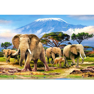 Пъзел Castorland Сутрин на Килиманджаро, 1000 елемента, C-103188-2
