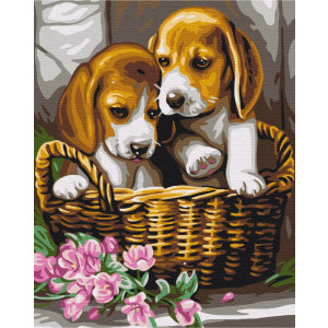 Рисуване по номера Кученца в кошница, с подрамка, 40х50 см.