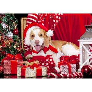 Диамантен гоблен Куче с подаръци, 30x40 см.