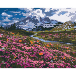 Рисуване по номера Алпийска ливада, с подрамка, 40х50 см.
