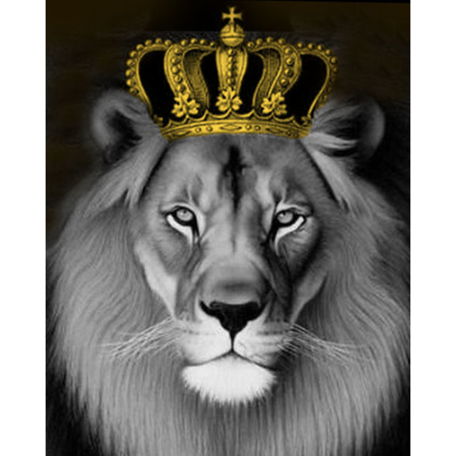 Рисуване по номера Цар Лъв, с подрамка, 40х50 см.