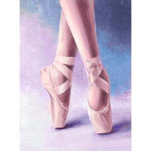 Диамантен гоблен Обувки на балерина, 20х30 см.