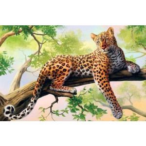 Рисуване по номера Леопард, с подрамка, 40х50 см.