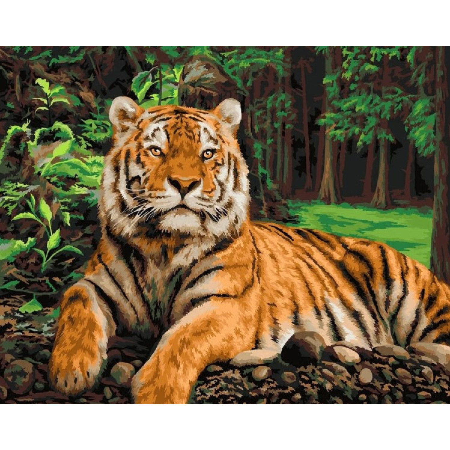 Рисуване по номера Царя на джунглата, с подрамка, 40х50 см.