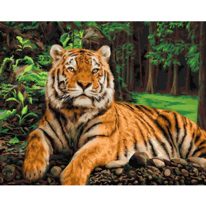 Рисуване по номера Царя на джунглата, с подрамка, 40х50 см.