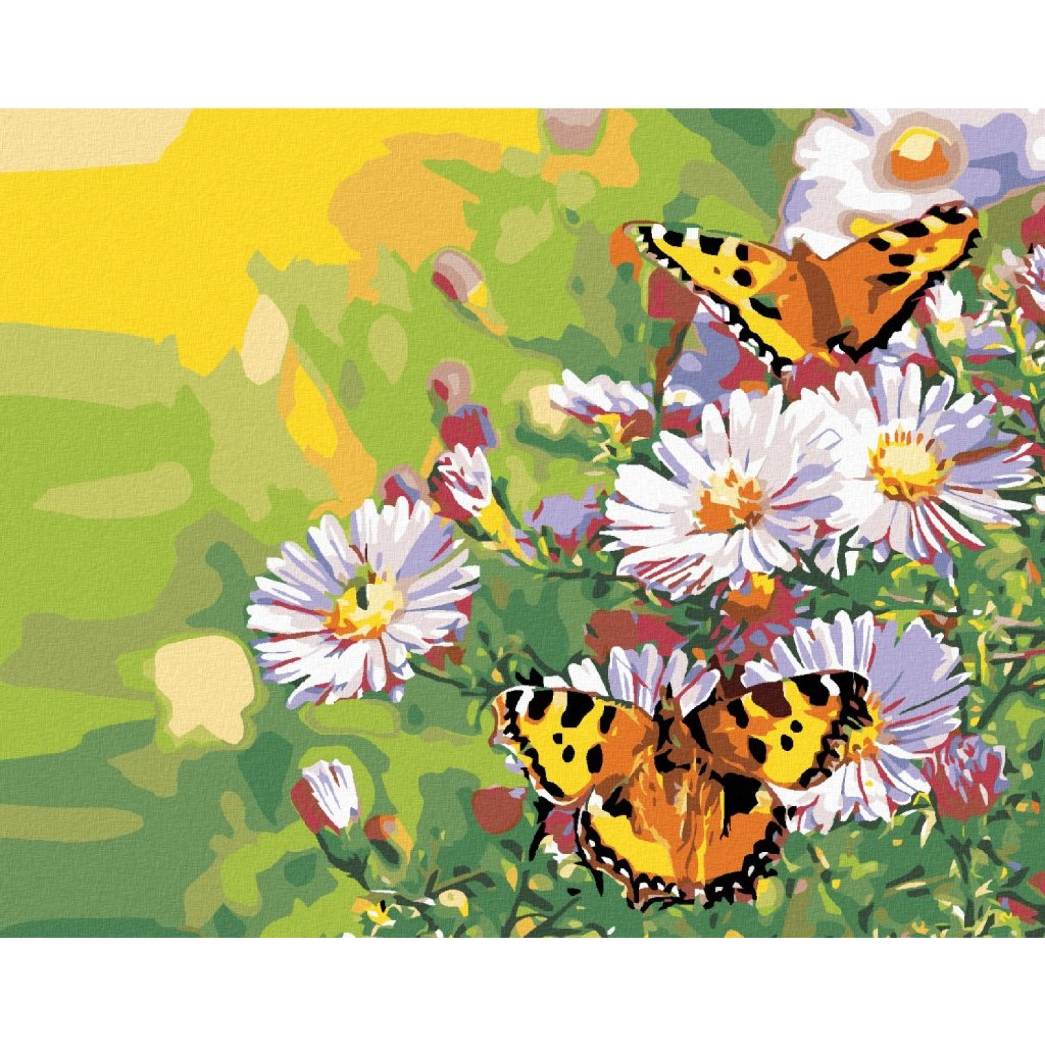 Рисуване по номера Пеперуди и маргаритки, с подрамка, 40х50 см.