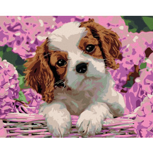 Рисуване по номера Кученце в хортензии, с подрамка, 40х50 см.