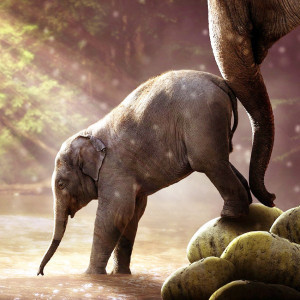 Диамантен гоблен Слон, 40x50 см.