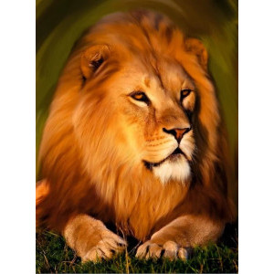 Диамантен гоблен Величествен лъв, 30х40 см., с подрамка