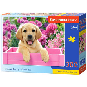 Пъзел Castorland Labrador Puppy in Pink Box, 300 елемента, B - 030071